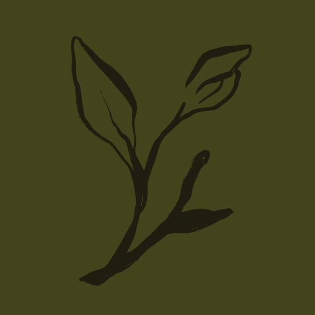 Leaf line art, aesthetic botanical | Free Photo - rawpixel