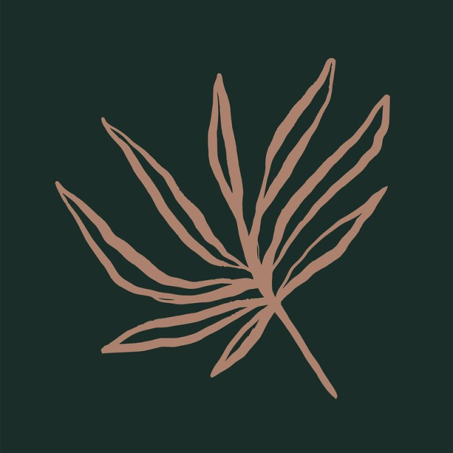 Leaf line art, aesthetic botanical | Free Photo - rawpixel