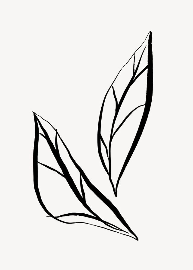 Leaf line art, Chinese brush | Free Photo - rawpixel