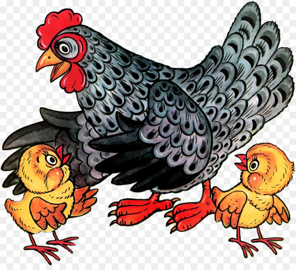 Leghorn chicken Cochin chicken Buffalo wing Plymouth Rock chicken Fried chicken - fried chicken