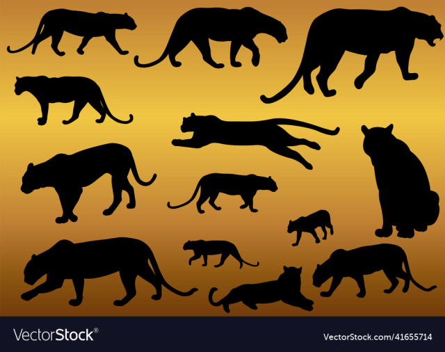 leopard predator animal silhouettes