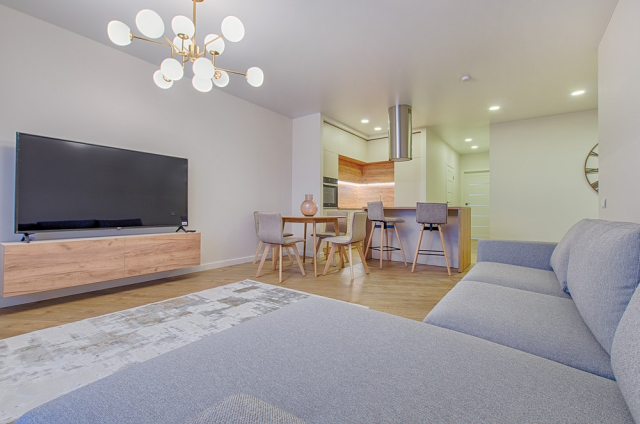 Living Room Area