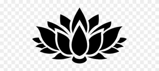 Lotus Flower Vector - Lotus Flower Vector Png