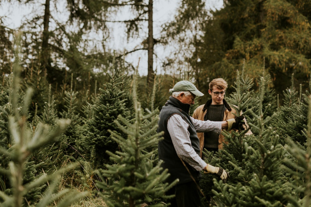 Man showing how he trim | Free Photo - rawpixel