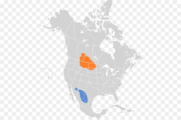 Mojave Desert Sonoran Desert Chihuahuan Desert Great Basin - desert