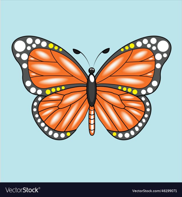 monarch butterfly isolated on background