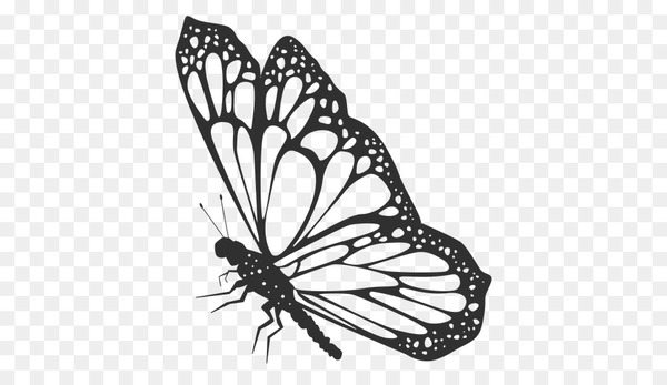 Monarch butterfly Vector graphics Illustration Silhouette - ulysses cartoon