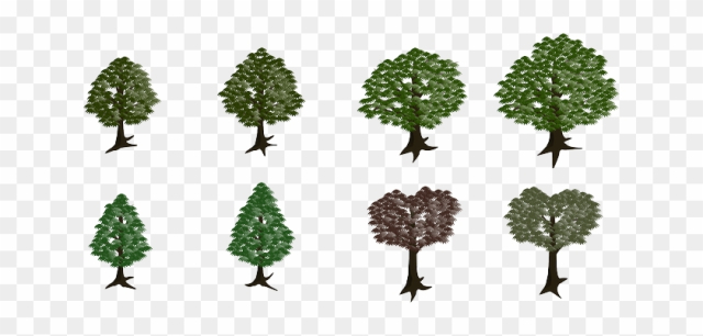 Nature Tree, Forest, Nature - Forest