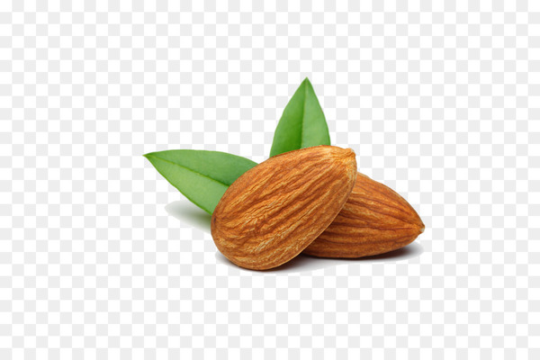 Nut Almond Food Apricot kernel - almond