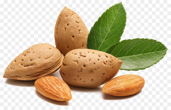 Nut Raw foodism Almond Agriculture - Almond PNG Transparent Image