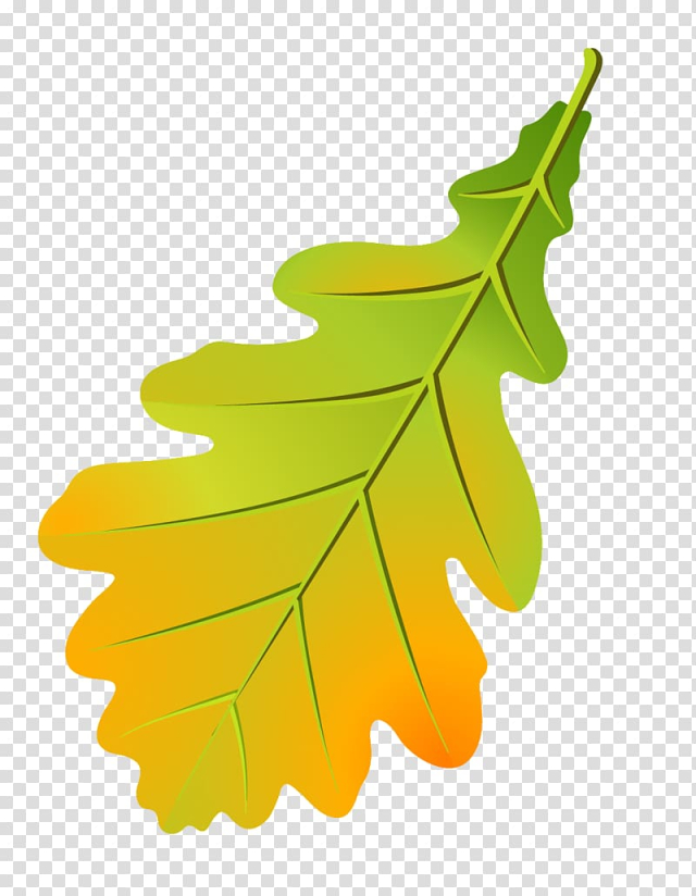 Free: Oak leaf cluster Tree Leaflet Autumn leaf color, Leaf transparent ...