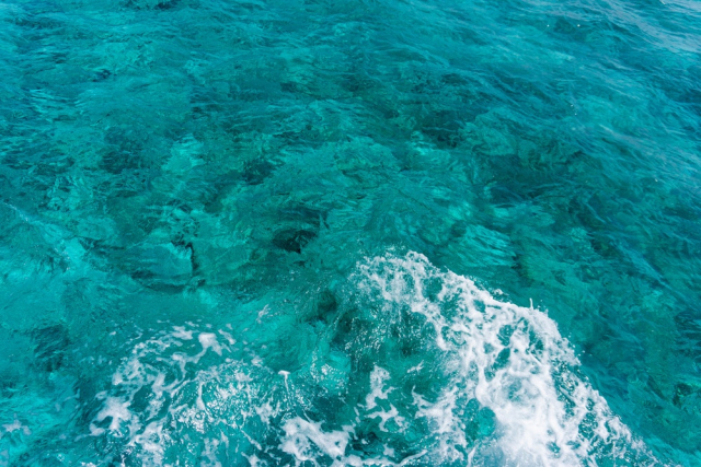 Ocean