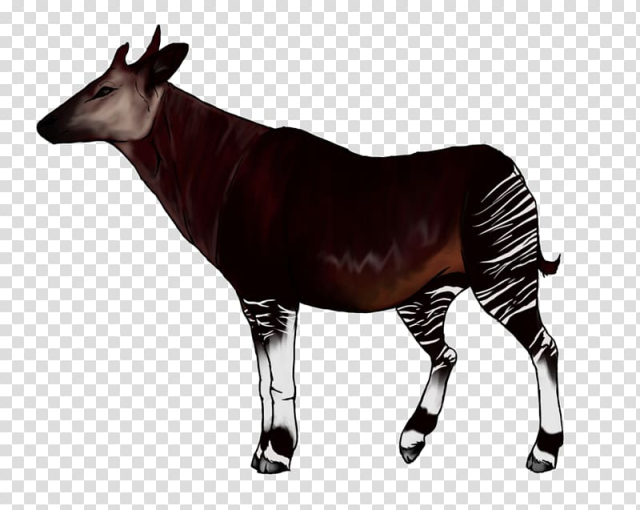 Free: Okapi Giraffe Animal , giraffe transparent background PNG clipart ...
