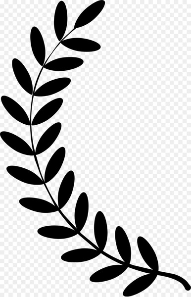 Olive branch Laurel wreath Clip art - Laurel Wreath Images