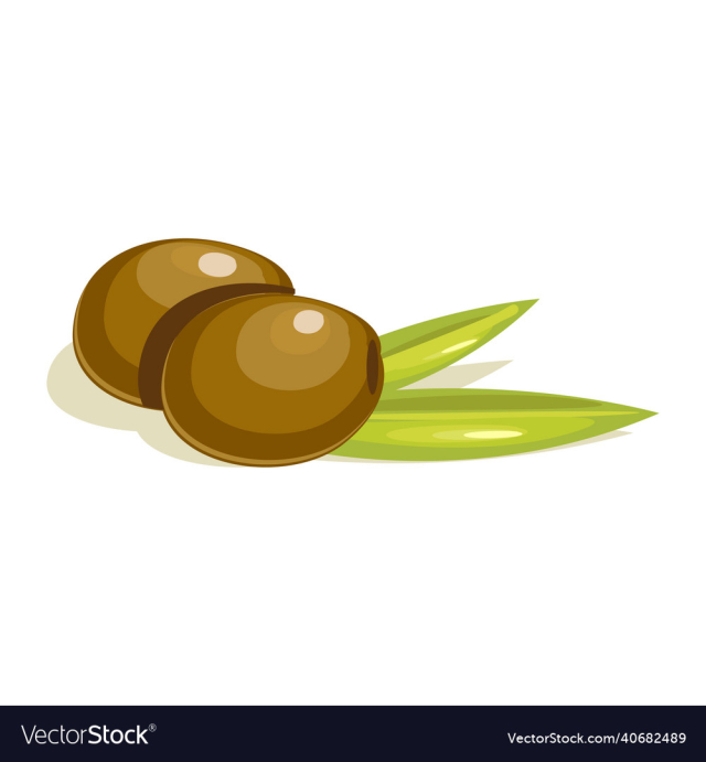 olive fruit