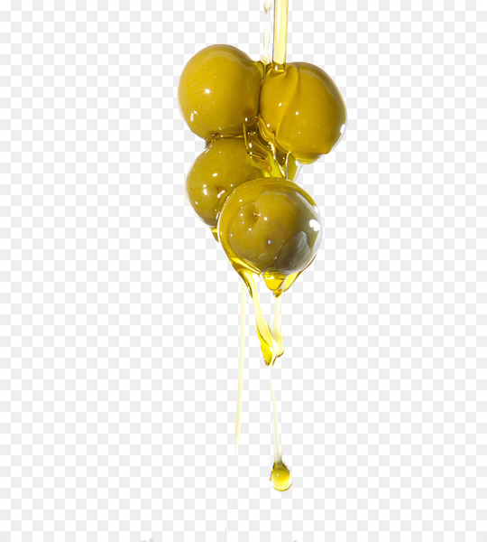 Olive oil Fruit Cooking oil - Olives