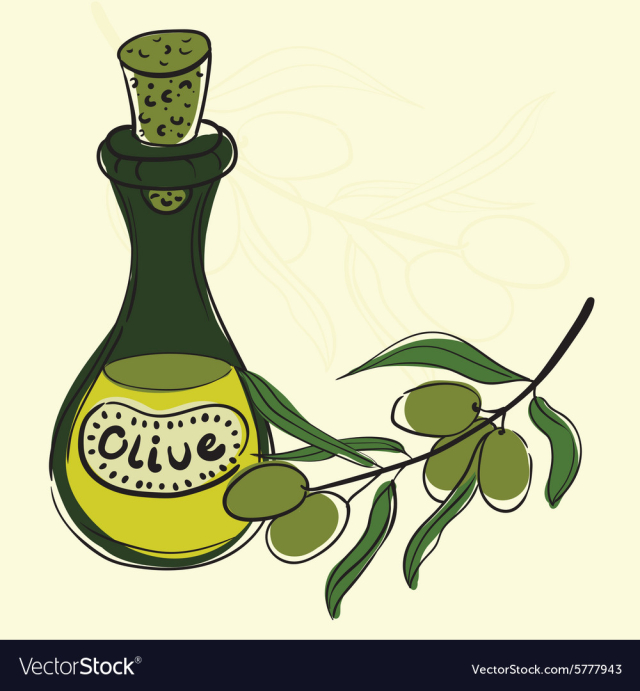 Olives vector image