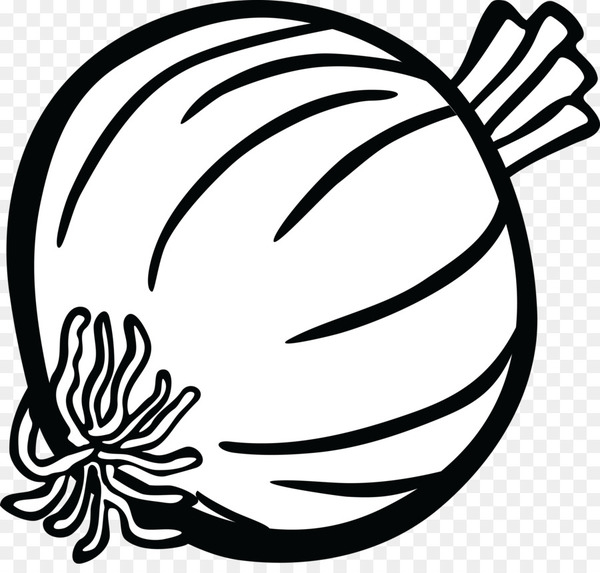Onion Drawing Clip art - onion 