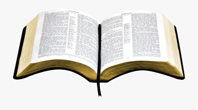 free-open-bible-png-bible-png-135390-free-cliparts-on-clipartwiki-nohat-cc