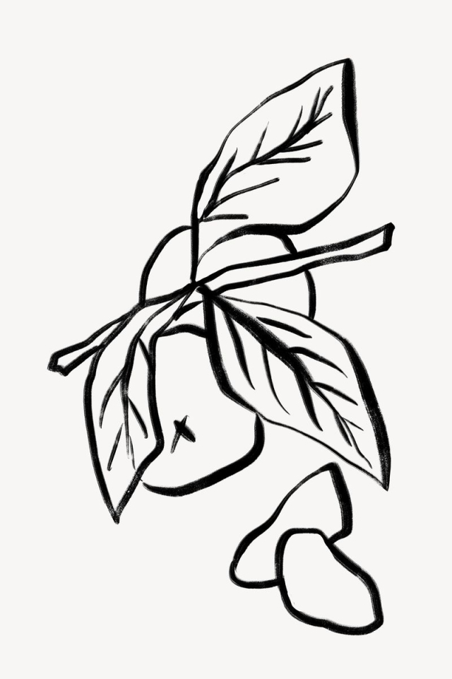 Orange line art, fruit doodle | Free Photo - rawpixel