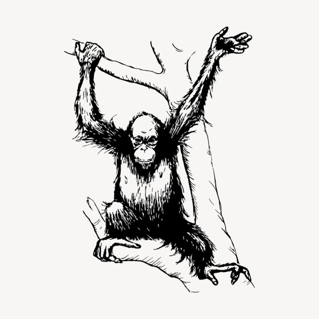 Orangutan monkey clipart, vintage animal | Free Vector - rawpixel