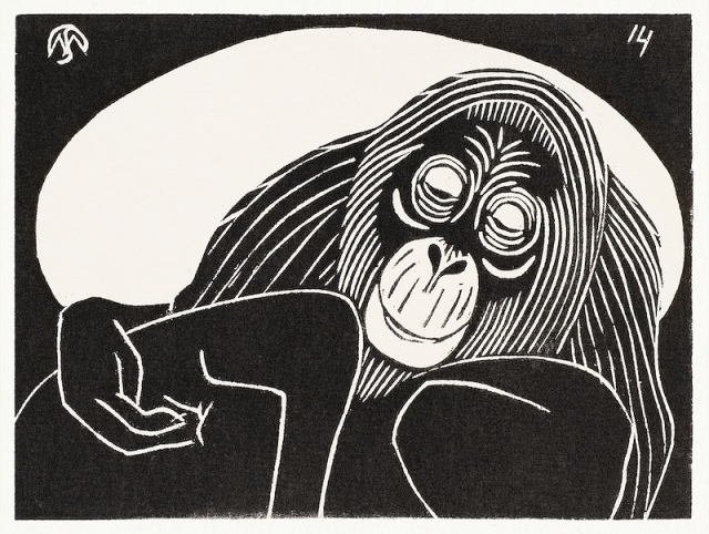 Orangutan (Orangoetan) (1914) print in high | Free Photo Illustration - rawpixel