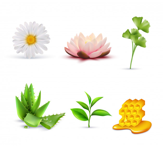 Organic cosmetic ingredients set Free Vector
