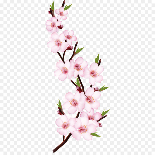 Peach Flower Shoot - Peach Blossom matched red