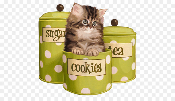 Persian cat Tabby cat Cat lady Dog Black Cat and Moon -  
