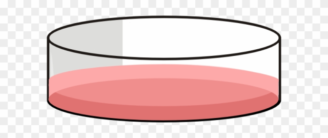 Petri Dish Cell Culture
