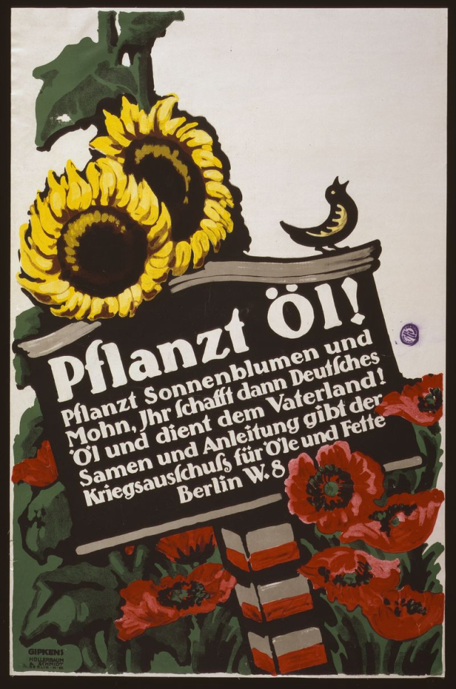 Pflanzt Öl! Pflanzt Sonneblumen und | Free Photo - rawpixel