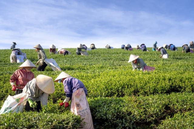 Photo Of Farmers During Daytime