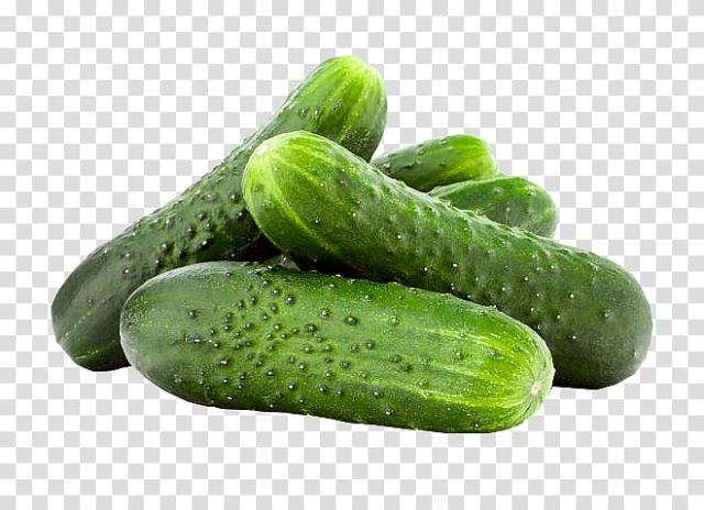 Cucumber