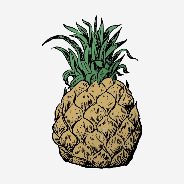 Pineapple clipart, vintage fruit illustration. | Free Photo - rawpixel