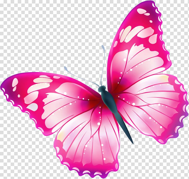 Pink and white butterfly , Butterfly Free Greta oto , spring flowers transparent background PNG clipart