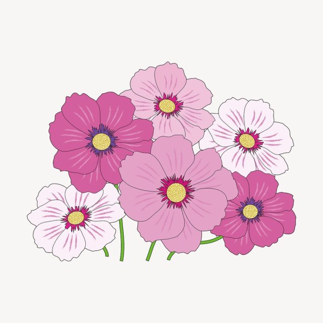 Pink flowers clipart, cosmos illustration | Free PSD - rawpixel