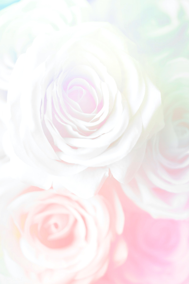 Pink rose patterned background | Free  illustration - 2356217