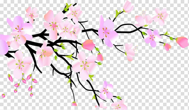 Plum blossom Peach, Pink Peach transparent background PNG clipart