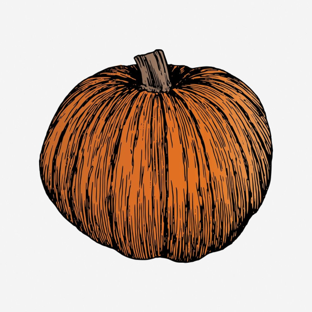 Pumpkin clipart, vintage plant illustration. | Free Photo - rawpixel