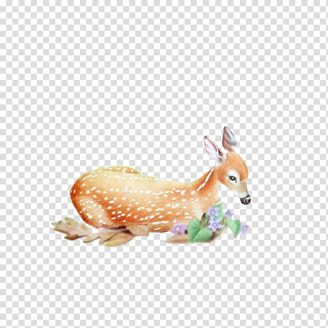 Red deer Roe deer Elk, Deer transparent background PNG clipart