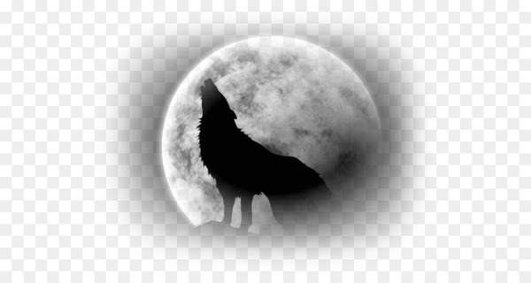 Red fox Werewolf Herd Dog Red wolf - werewolf
