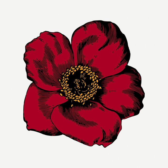 Red poppy flower collage element, | Free PSD - rawpixel
