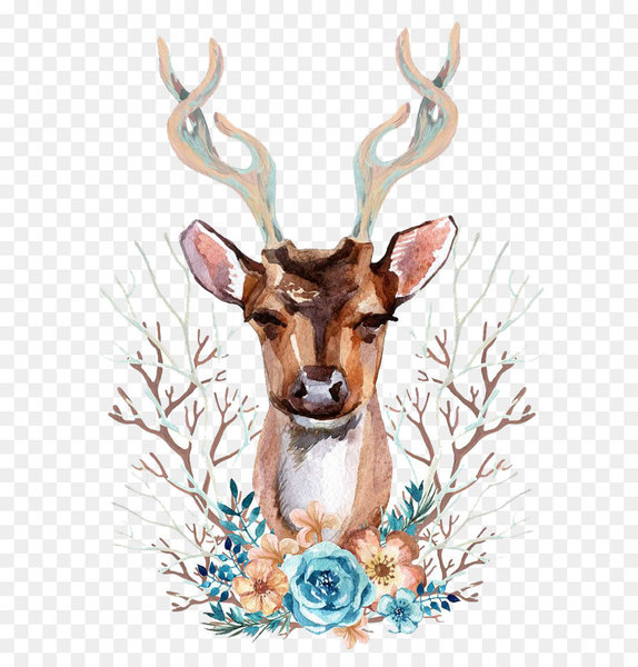 Reindeer Red deer Illustration - Watercolor deer 