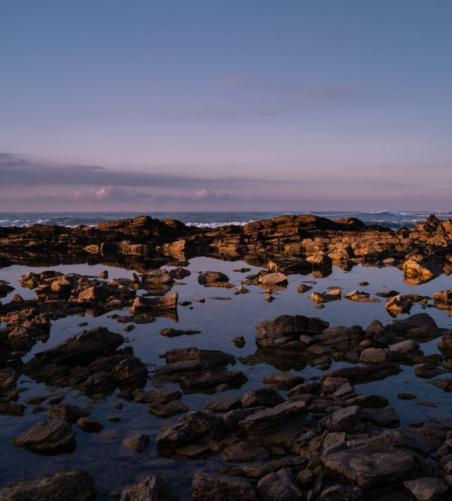 Rock Pool
