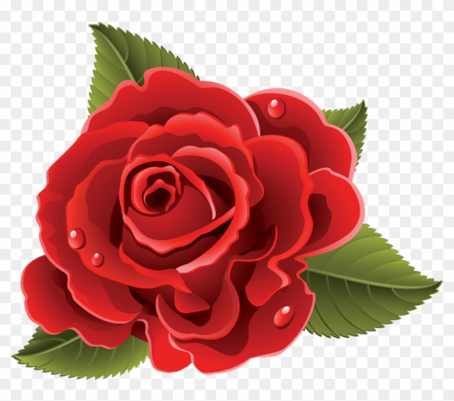 Rosas Rojas Vector Png - Rosa En Formato Png
