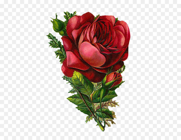Rose Clip art - vintage flowers