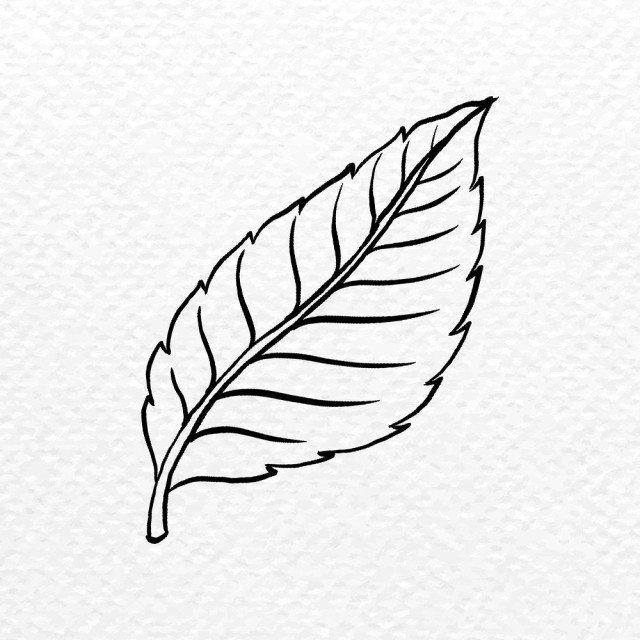 Rose’s leaf tattoo art, black | Free PSD Illustration - rawpixel