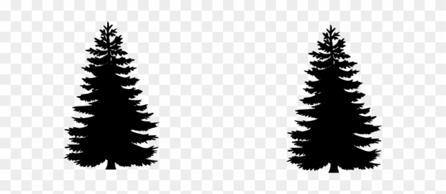 Sapin Clip Art - Black And White Pine Tree Clip Art