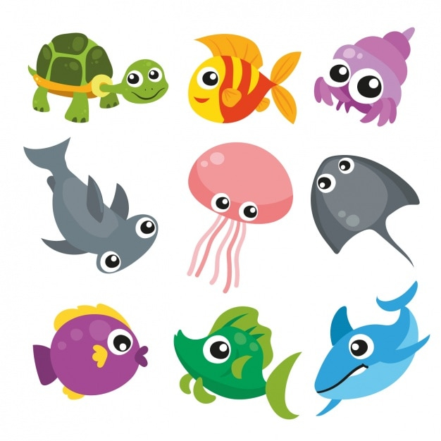 Sea animals collection