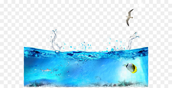 Seabed Ocean Seawater - Summer Icy Ocean